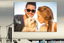 jeune-couple-avec-chien-bureau-plexiglas